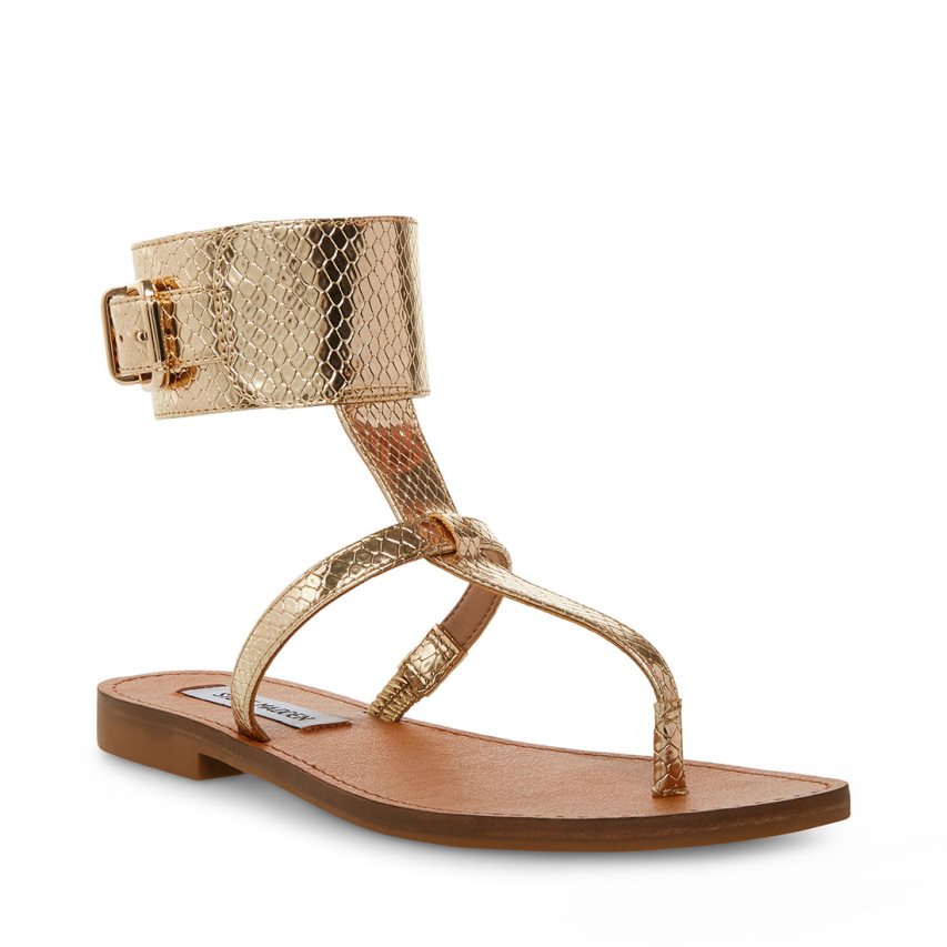 Sandalias Planas Steve Madden Rico Snake Mujer Doradas | ES XQ068S